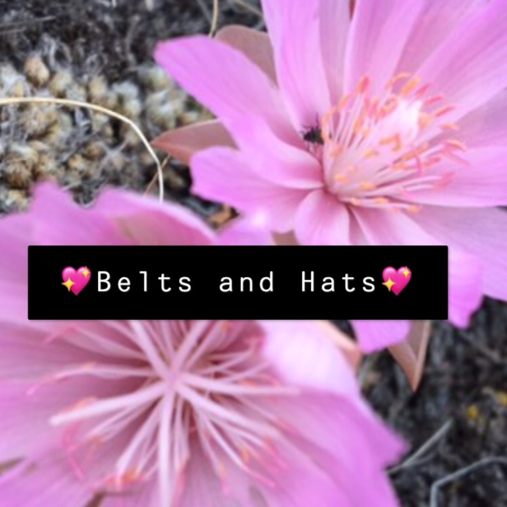 Belts and hats